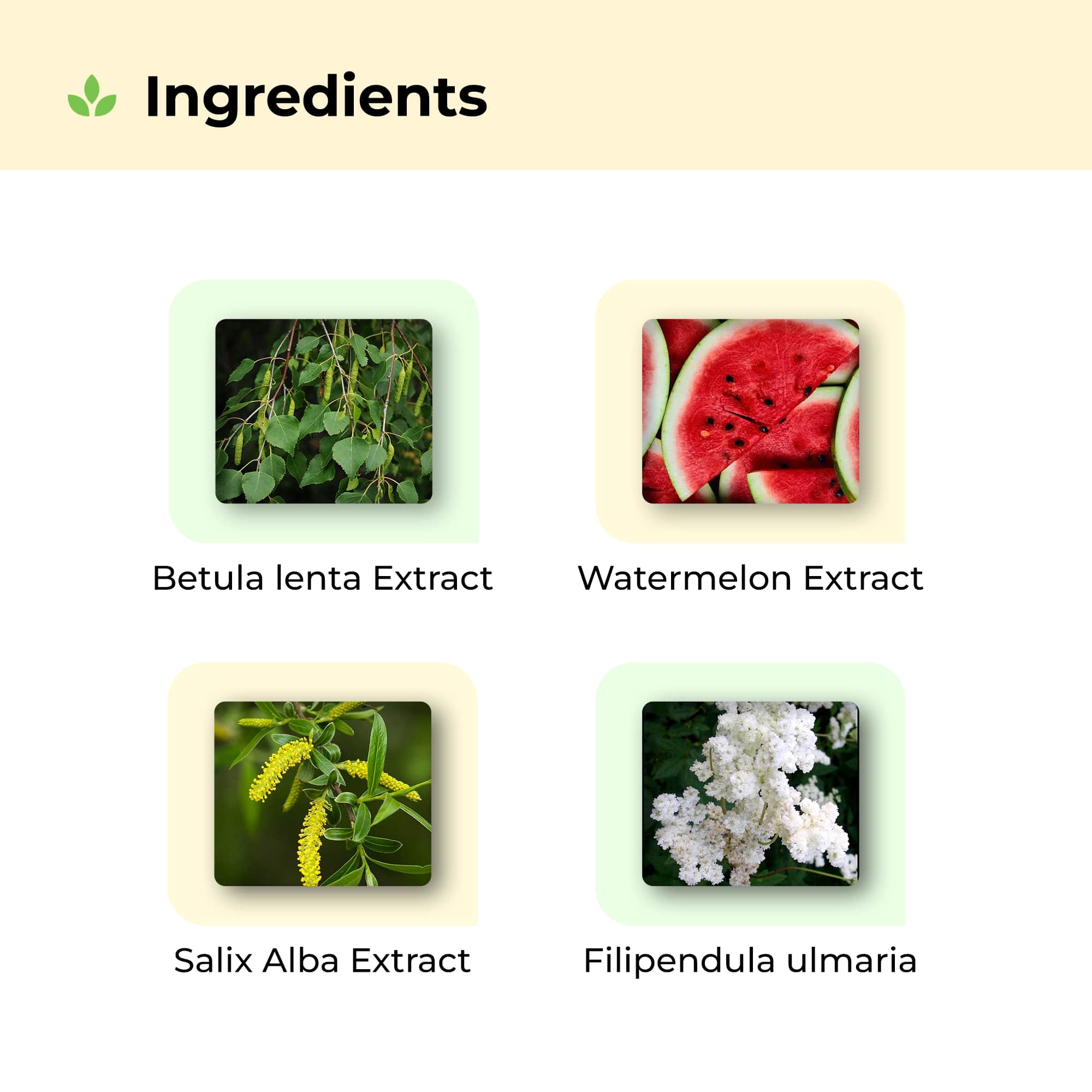 Hair Growth Kit+ for Stage 3 Hair Loss - Image 16