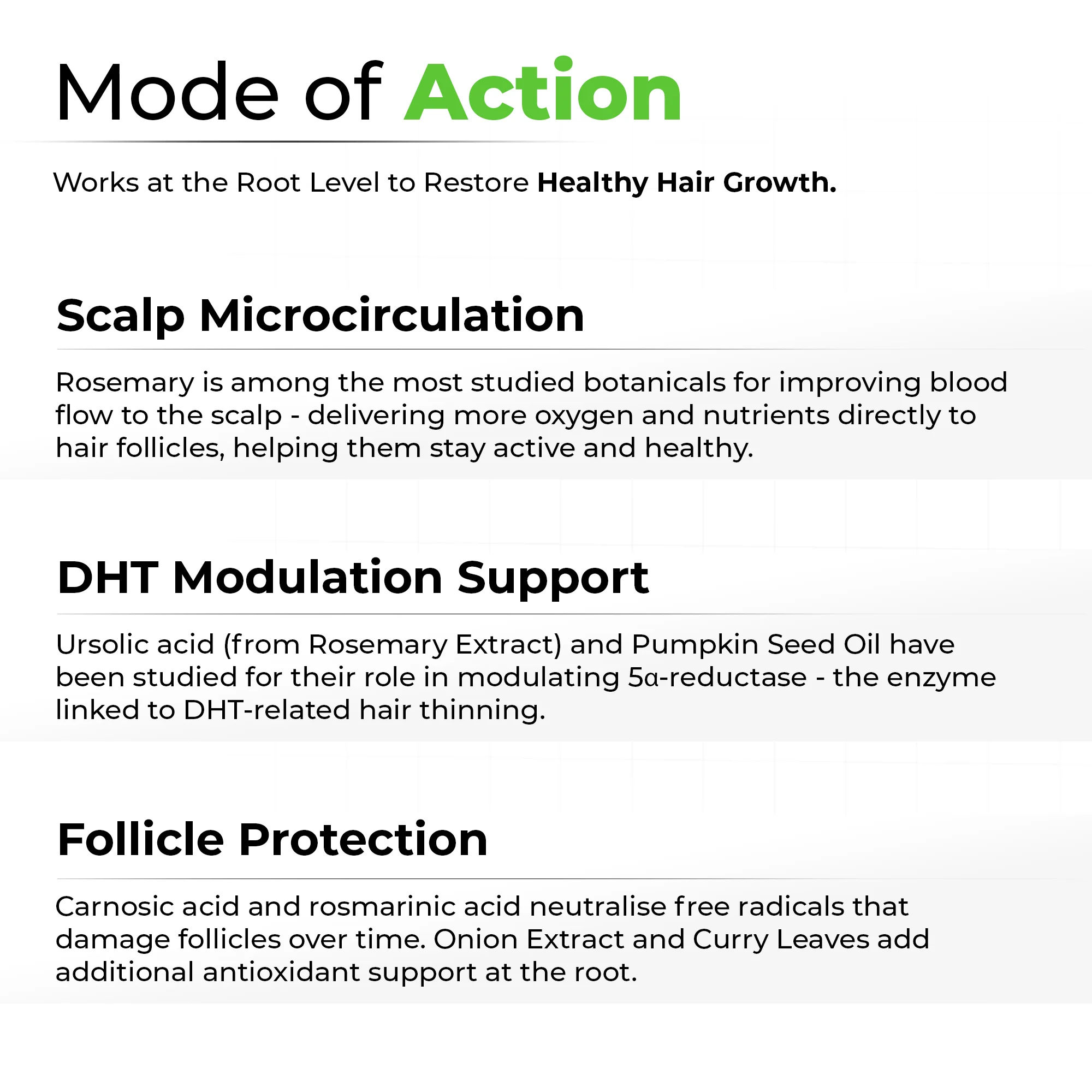 Rosemary Hair Oil for Hair Growth - Image 6
